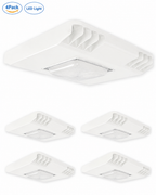 JEE LED Canopy Light