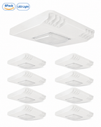 JEE LED Canopy Light