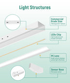 JEE 4ft LED Wraparound 20-40W