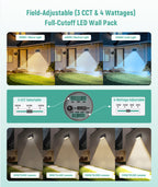 JEE WP11F Full-Cutoff LED Wall Pack 60-120W