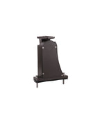 Arm mount