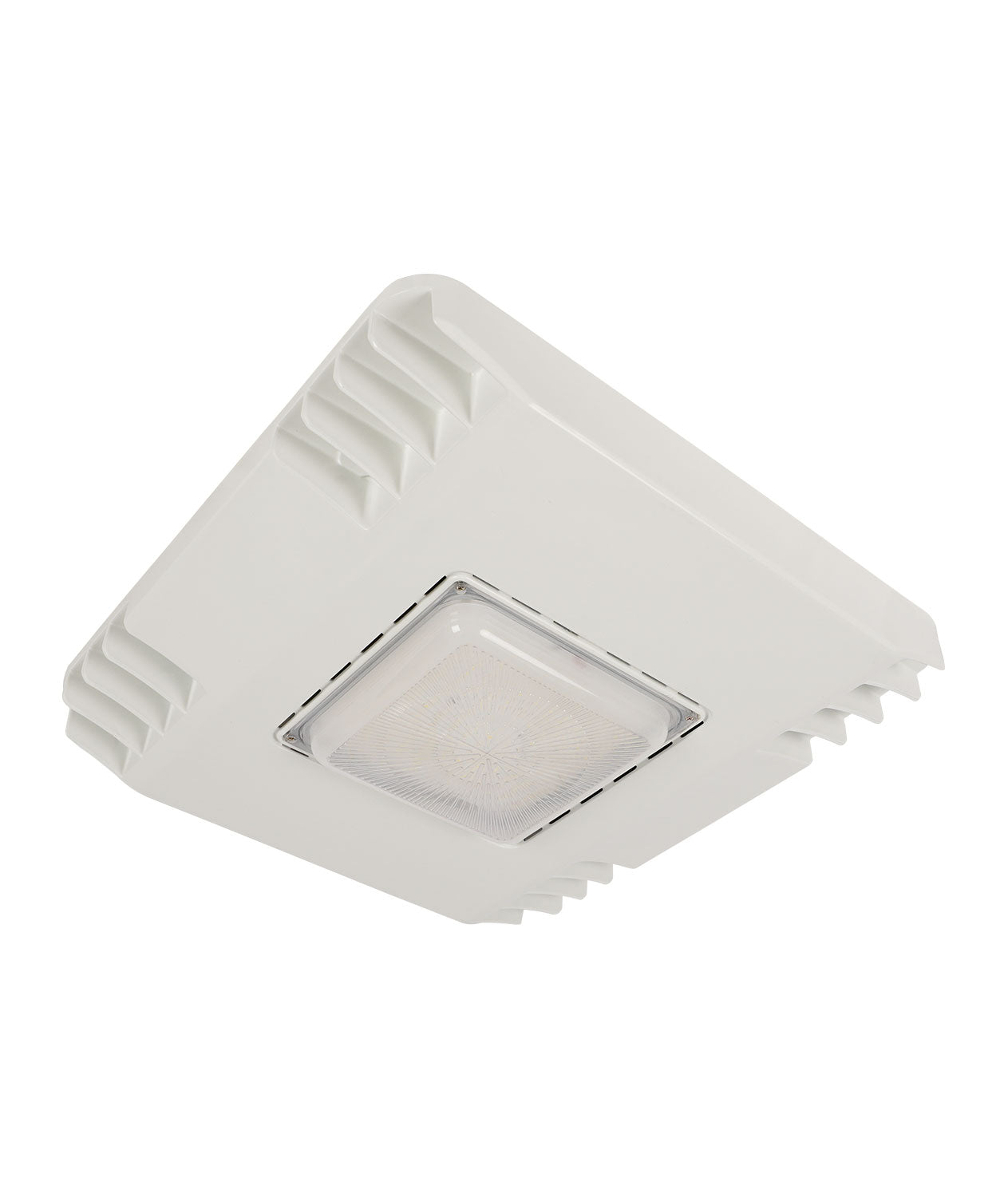 JEE LED Canopy Light