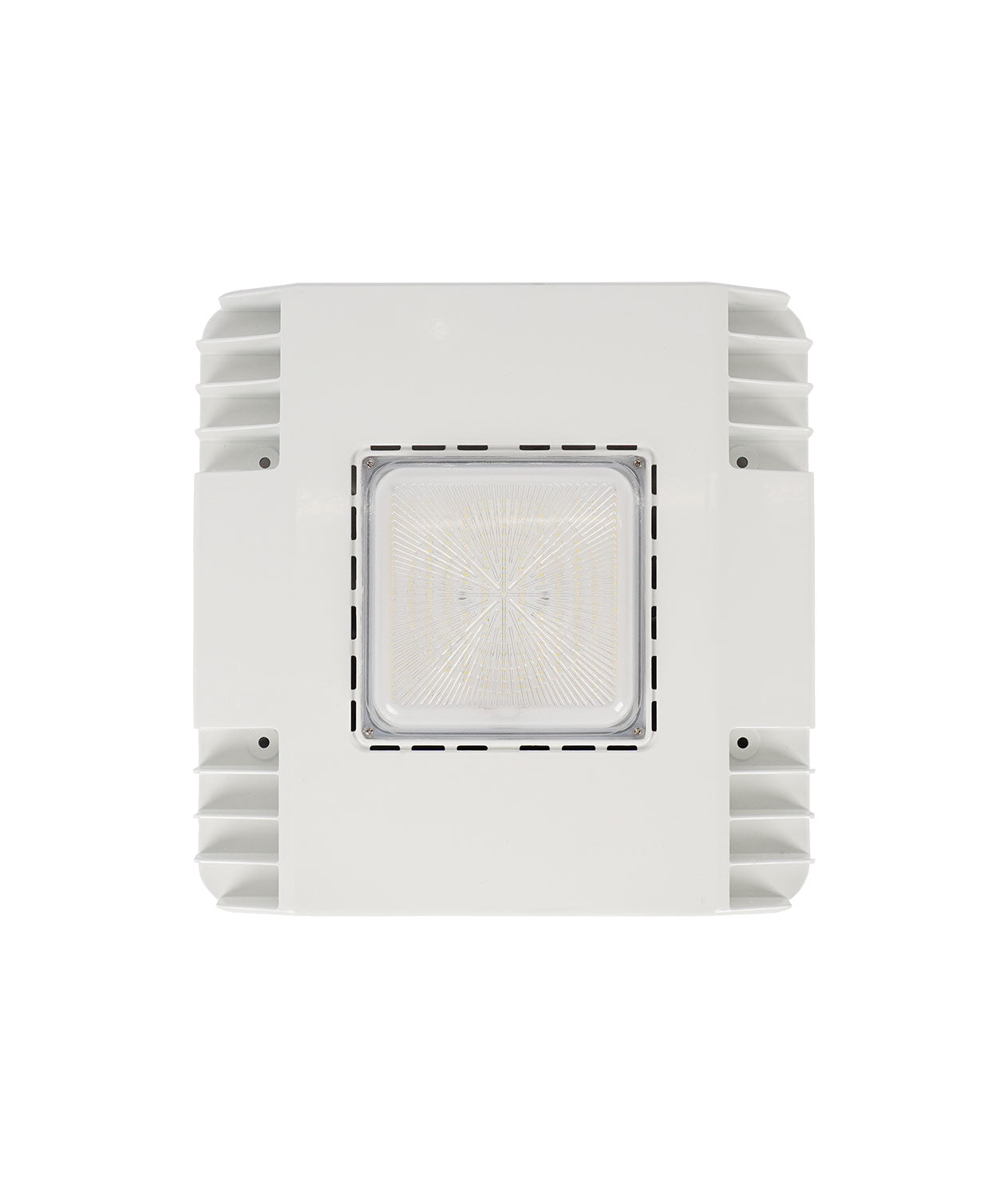 JEE LED Canopy Light