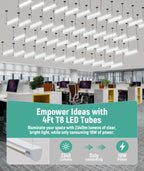 JEE 4ft T8 Glass LED Tube Type B 18W Clear