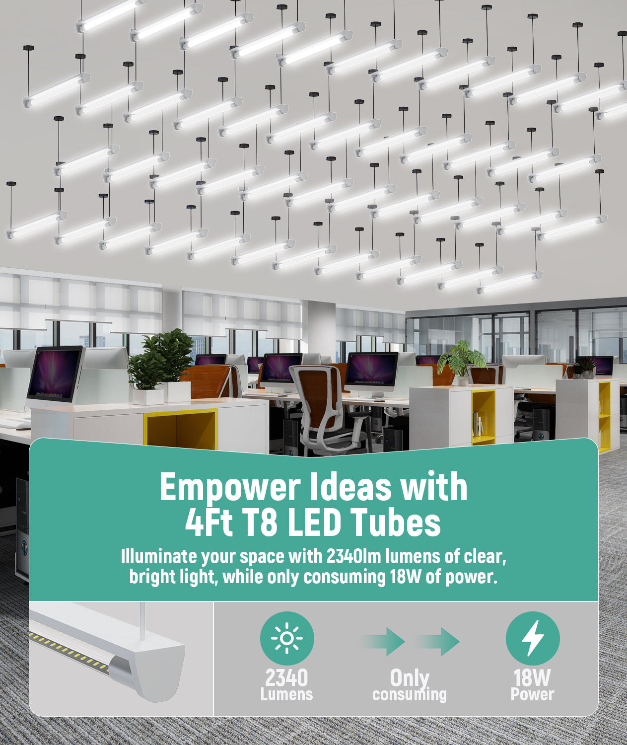 JEE 4ft T8 Glass LED Tube Type B 18W Clear