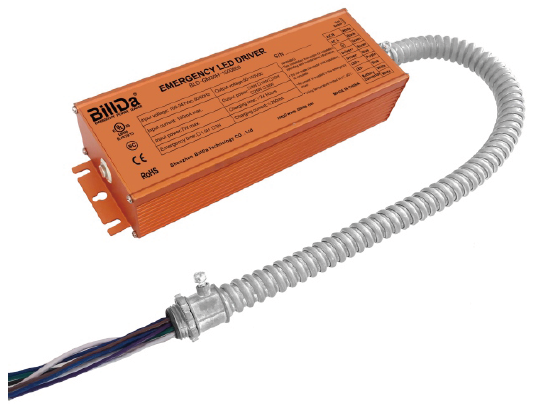 TCP Battery Backup – Wall Pack